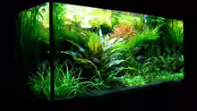 Aquarium Becken 6328