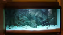 Aquarium Becken 6354
