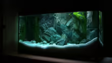 Aquarium Becken 6354