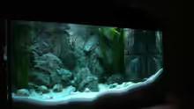 Aquarium Becken 6354