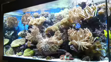 Aquarium Becken 6379