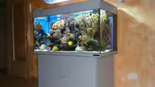 Aquarium Becken 6379