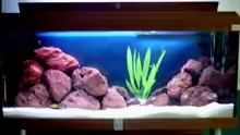 Aquarium Becken 6481
