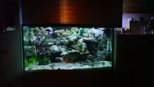 Aquarium Becken 6558