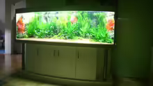 Aquarium Becken 6860