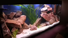 Aquarium Becken 7108