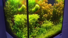 Aquarium Becken 7947