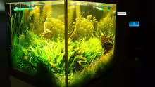 Aquarium Becken 7947