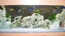 Aquarium Becken 8076
