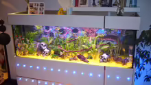 Aquarium Becken 8220