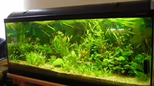 Aquarium Becken 8264