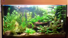 Aquarium Becken 8360