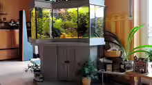 Aquarium Becken 8583