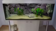 Aquarium Becken 8662
