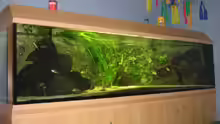 Aquarium Becken 874