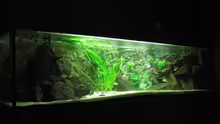 Aquarium Becken 874