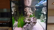 Aquarium Becken 885