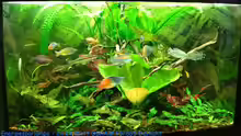 Aquarium Becken 9033