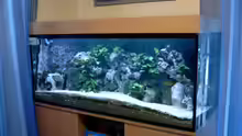 Aquarium Becken 910