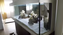 Aquarium Becken 9198