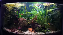 Aquarium Becken 9357