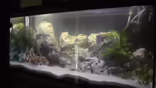 Aquarium Becken 940