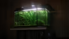 Aquarium Becken 9762