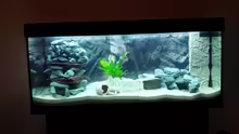 Aquarium beim Einfahren am 29.12.14