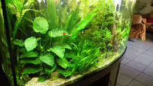 Aquarium Blick von links