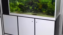 Aquarium Das Becken gibt es nicht mehr!!!!