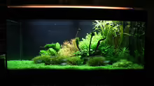 Aquarium Hauptansicht von Becken 11128