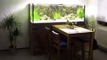 Aquarium Hauptansicht von Becken 11633
