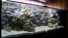 Aquarium Hauptansicht von Becken 13514