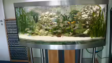 Aquarium Hauptansicht von Becken 1388