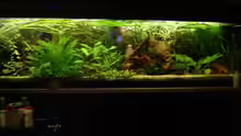 Aquarium Hauptansicht von Becken 1708