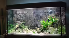 Aquarium Hauptansicht von Becken 2090