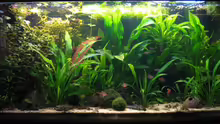 Aquarium Hauptansicht von Becken 2216