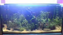 Aquarium Hauptansicht von Becken 2256