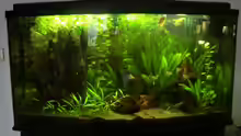 Aquarium Hauptansicht von Becken 23229