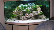 Aquarium Hauptansicht von Becken 2495