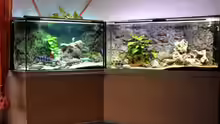 Aquarium Hauptansicht von Becken 268