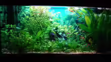 Aquarium Hauptansicht von Becken 2875