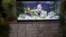 Aquarium Hauptansicht von Becken 359