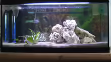 Aquarium Hauptansicht von Becken 3608