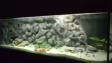 Aquarium Hauptansicht von Becken 371