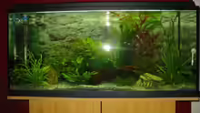 Aquarium Hauptansicht von Becken 3982