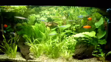 Aquarium Hauptansicht von Becken 4041