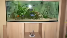 Aquarium Hauptansicht von Becken 4223
