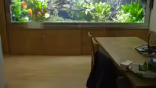 Aquarium Hauptansicht von Becken 4412