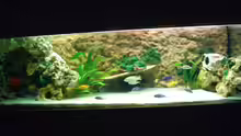Aquarium Hauptansicht von Becken 5765